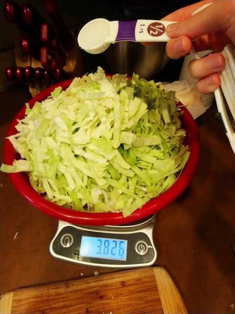 fermenting-sauerkraut-at-home